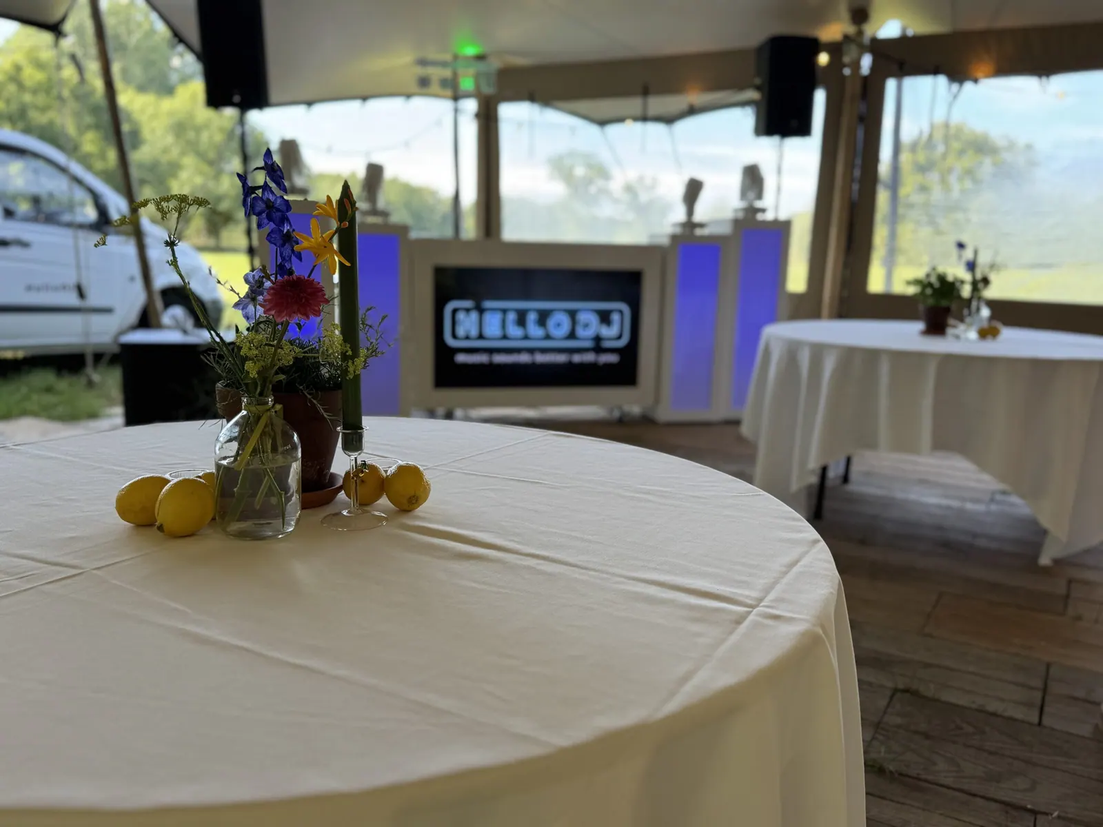 Feestende gasten met HelloDJ
